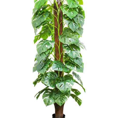 Palmera de 150cm