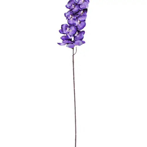 Vara de orquidea morada