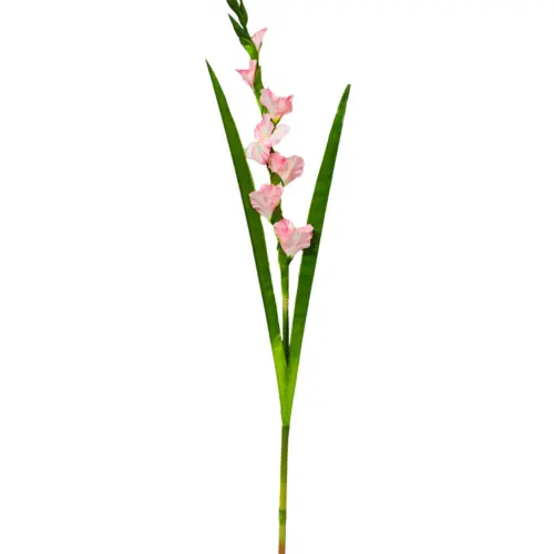 Vara de flor de gladiola rosa de 10x115x0.1cm
