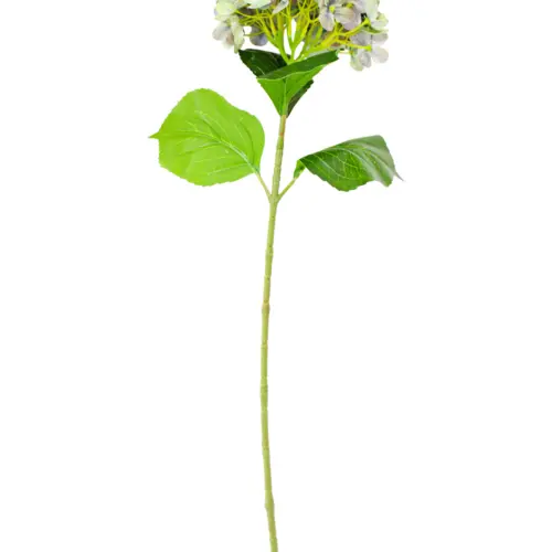 Vara de hortensia verde de 18x66x0.1cm