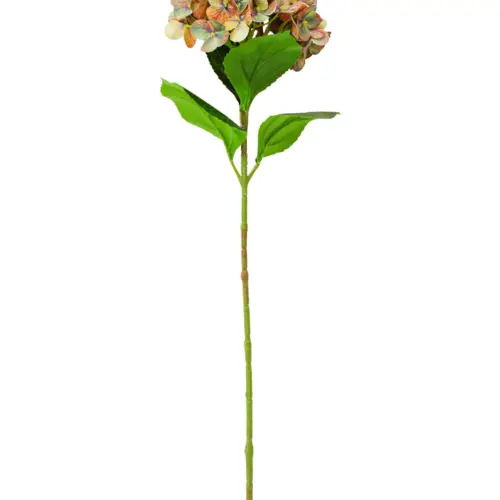 Vara de hortensia marrón de 18x66x0.1cm