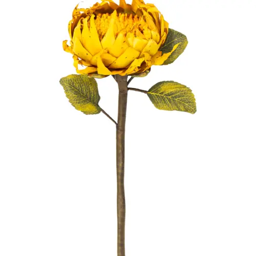 Vara de girasol naranja