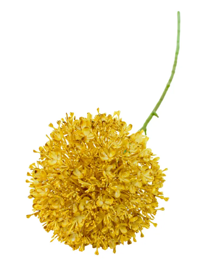 Vara de flor artificial de plástico amarillo de 12x78x0.1cm - Image 3