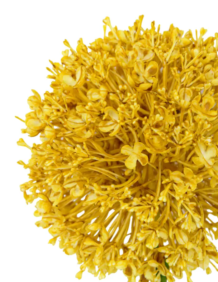 Vara de flor artificial de plástico amarillo de 12x78x0.1cm - Image 4