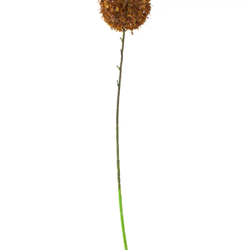 Vara de flor artificial de plástico cafe de 12x78x0.1cm