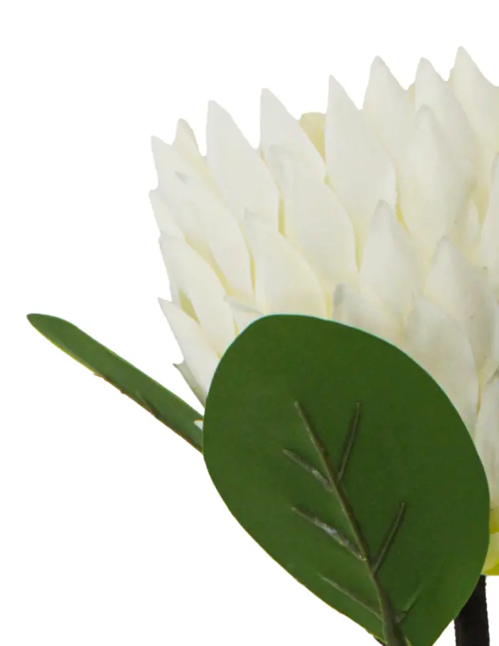 Vara de flor artificial diente de leon blanca de 12x70x0.1cm - Image 2