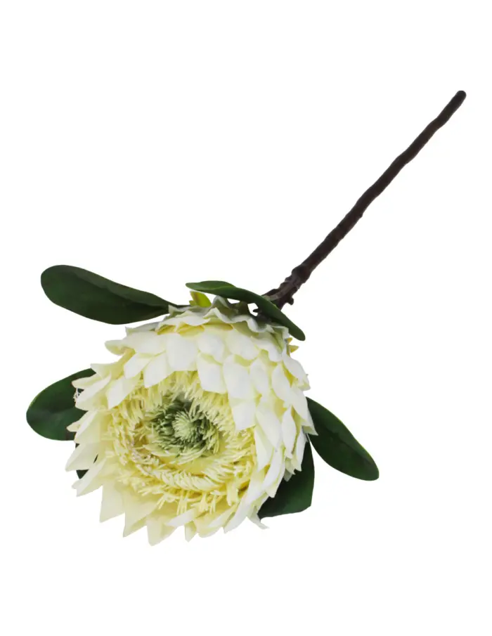 Vara de flor artificial diente de leon blanca de 12x70x0.1cm - Image 3