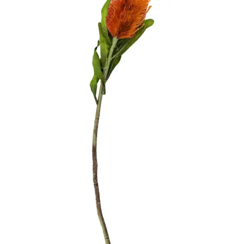 Vara de flor exotica artificial naranja de 8x63x0.1cm
