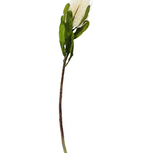 Vara de flor exotica artificial blanca de 8x63x0.1cm