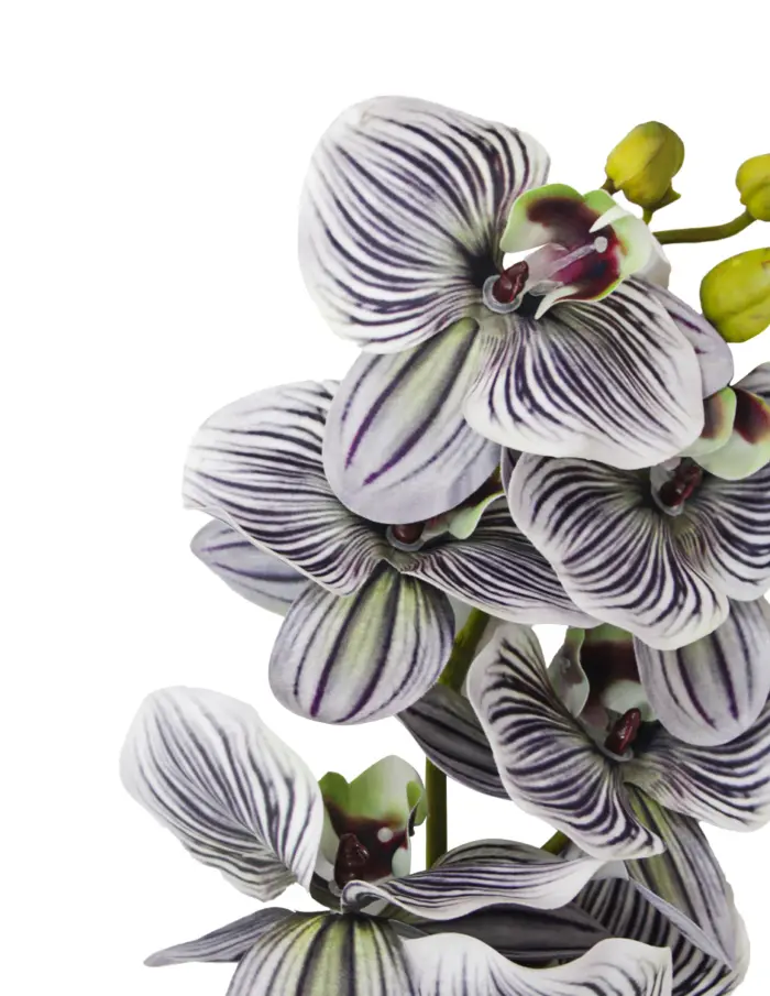 Vara de orquidea artificial jaspeada lila de 16x92x0.1cm - Image 3