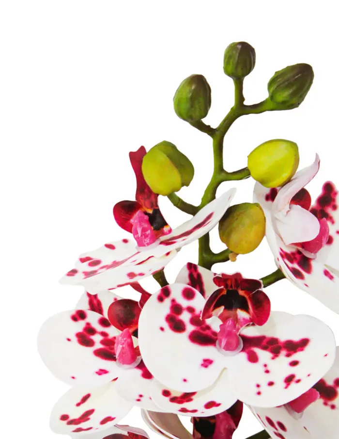 Vara de orquidea artificial blanca con puntos de 10x66x0.1cm - Image 3