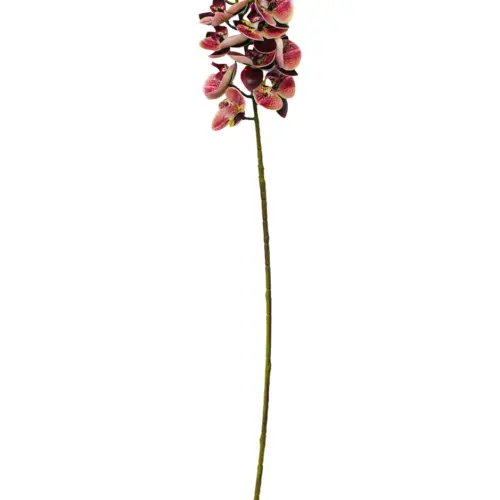 Vara de orquidea artificial jaspeada rosa de 10x66x0.1cm