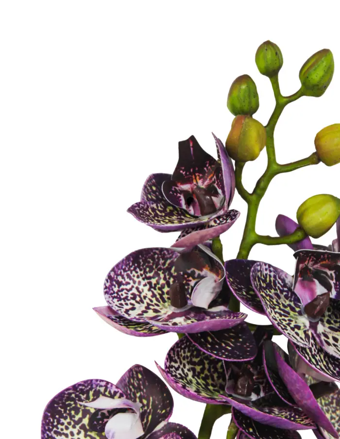 Vara de orquidea artificial jaspeada morado de 10x66x0.1cm - Image 3