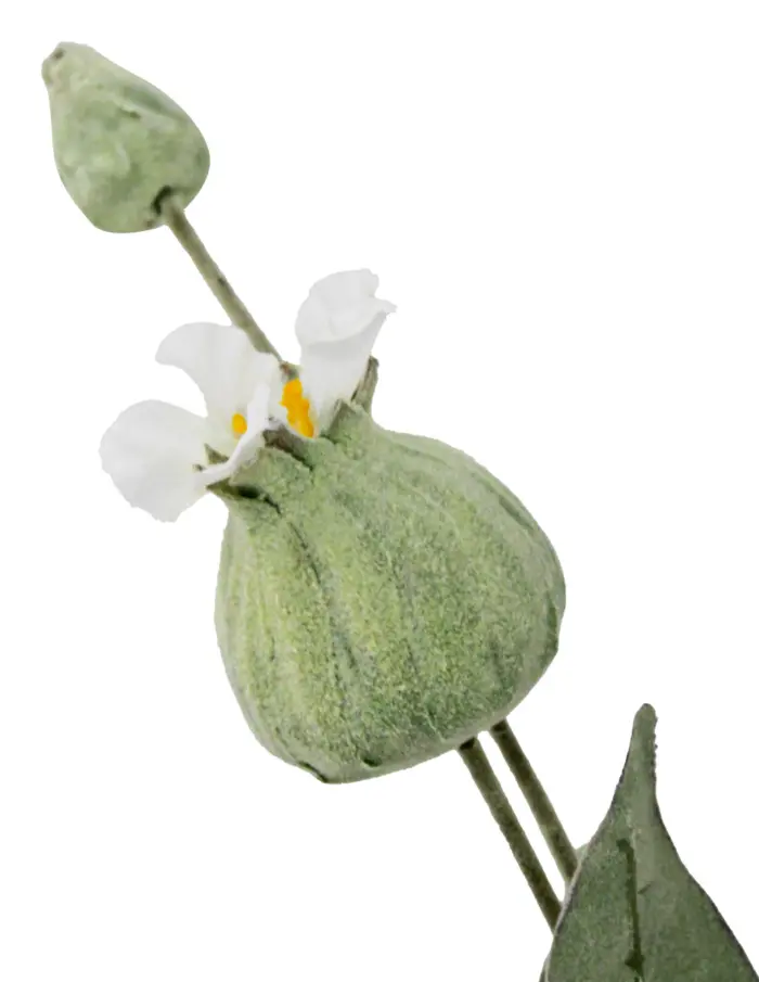 Vara de flores artificiales blancas de 16x78x0.1cm - Image 3