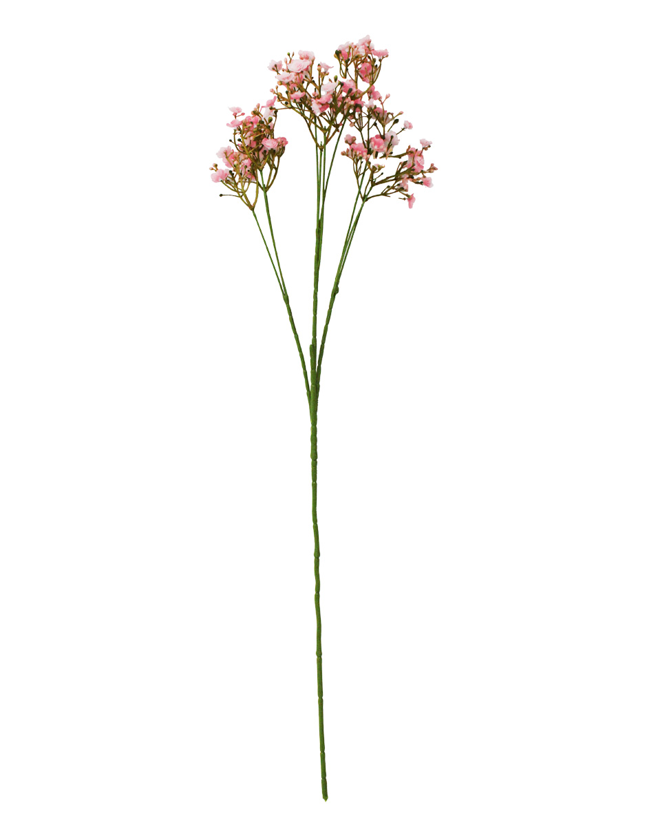 galerias el triunfo - 022032811081