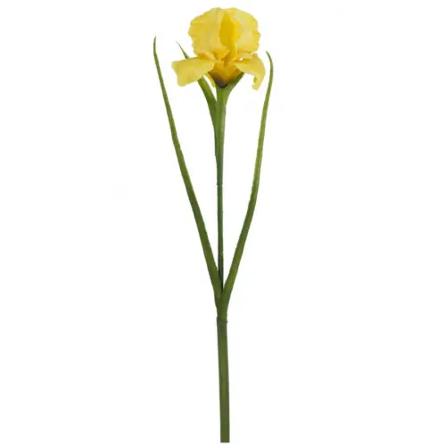 Vara de flor de iris amarilla de 12x15x60cm