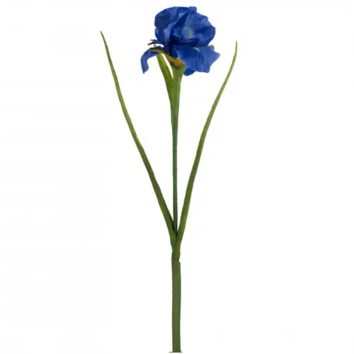 Vara de flor de iris azul de 12x15x60cm