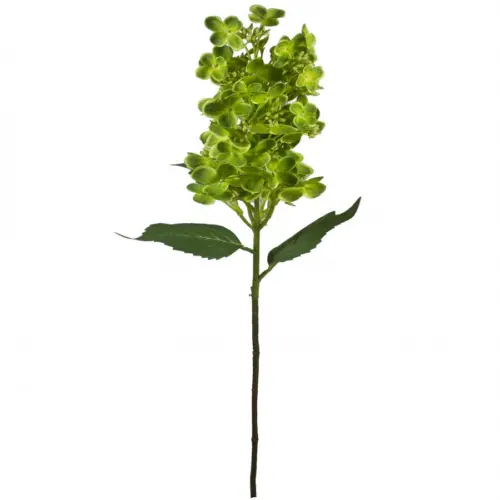 Vara de flores verde de 20x15x72cm