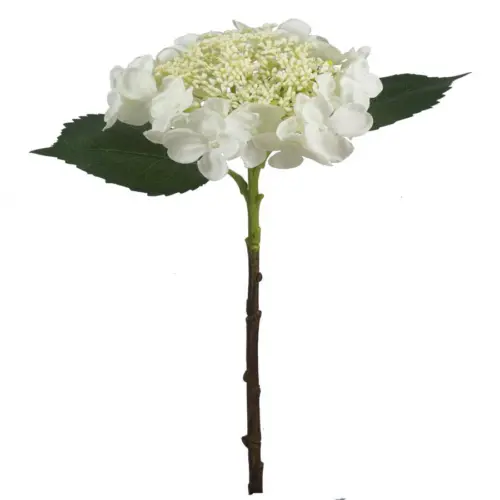 Vara de hortensias crema de 18x28x45cm