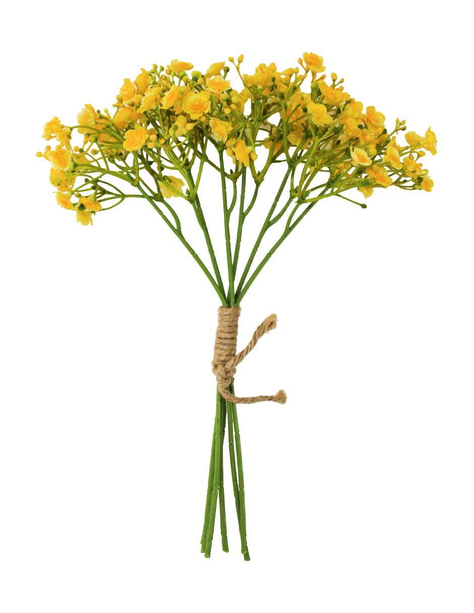 022032811087-galerias el triunfo