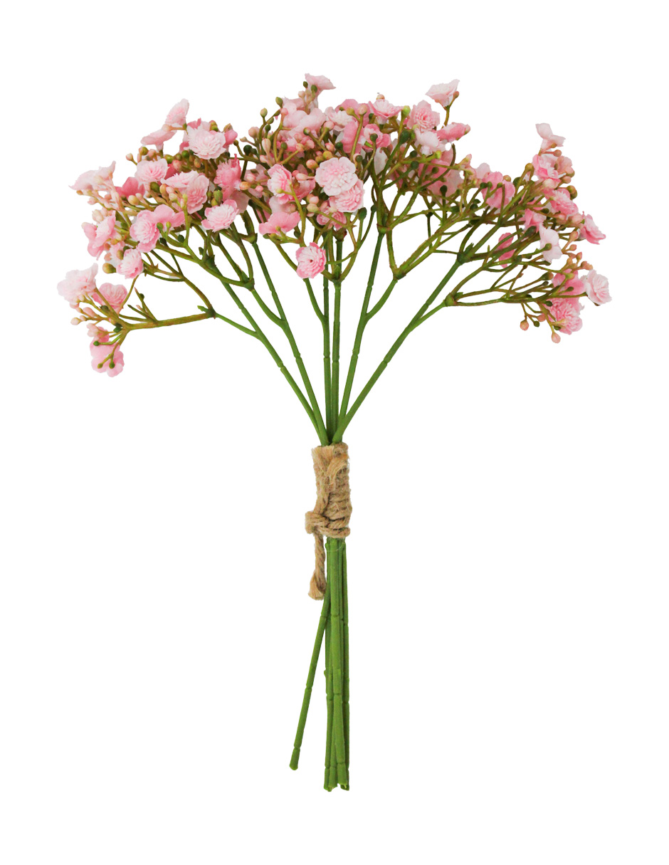 022032811090-galerias el triunfo