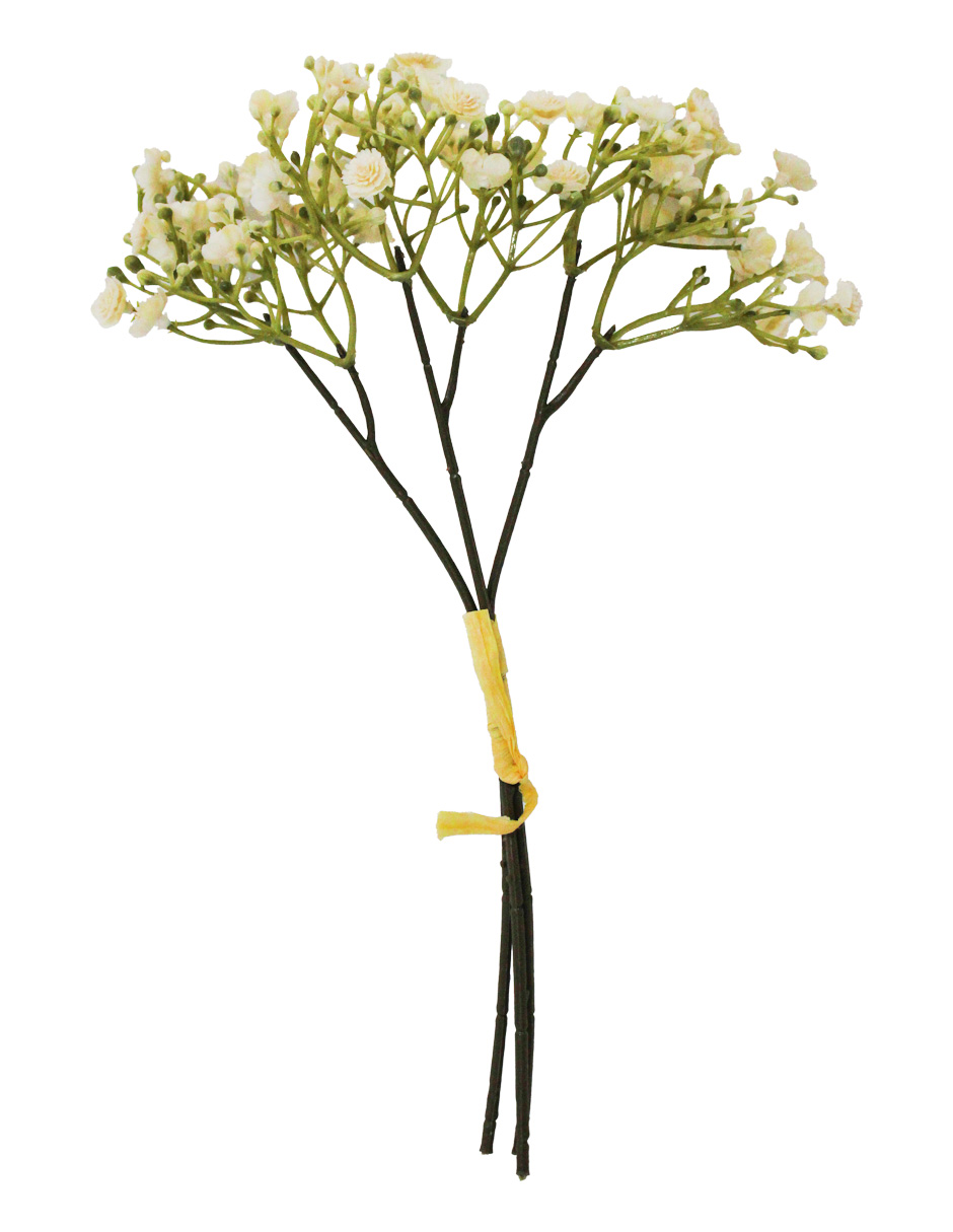 022032811132-galerias el triunfo