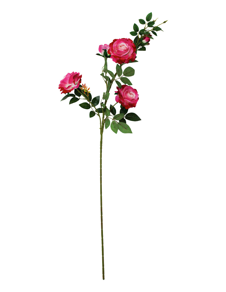 303001736884-galerias el triunfo