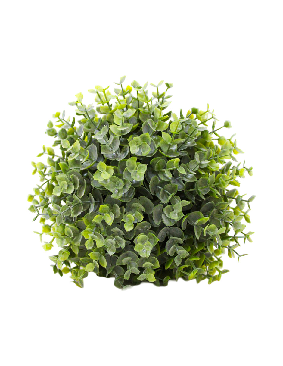 024071525000-galerias el triunfo