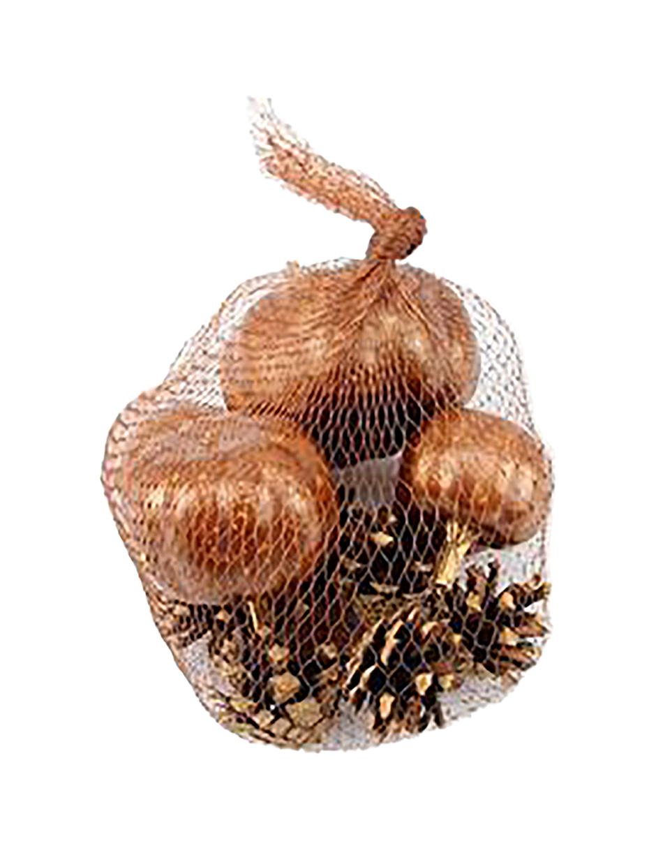 049072724066-galerias el triunfo