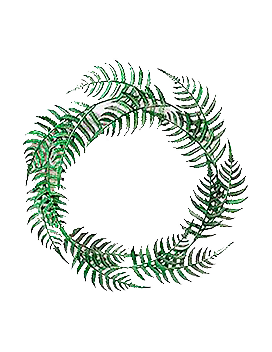 074072300612-galerias el triunfo