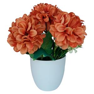 291001736616-galerias el triunfo