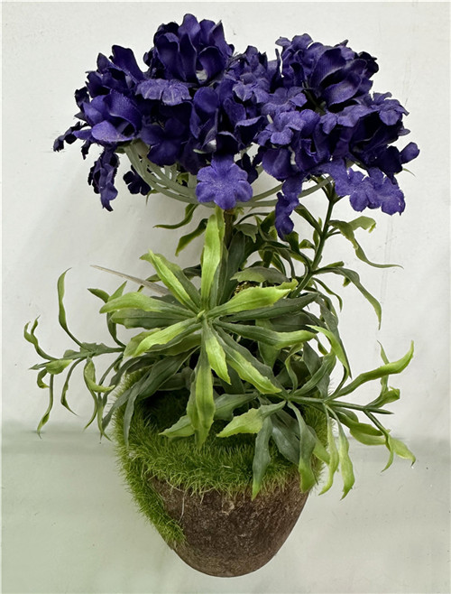 301001736298-galerias el triunfo