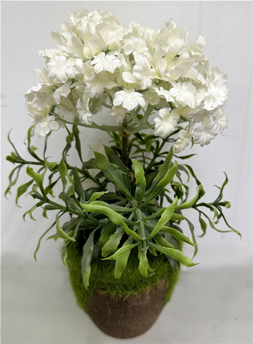 301001736299-galerias el triunfo