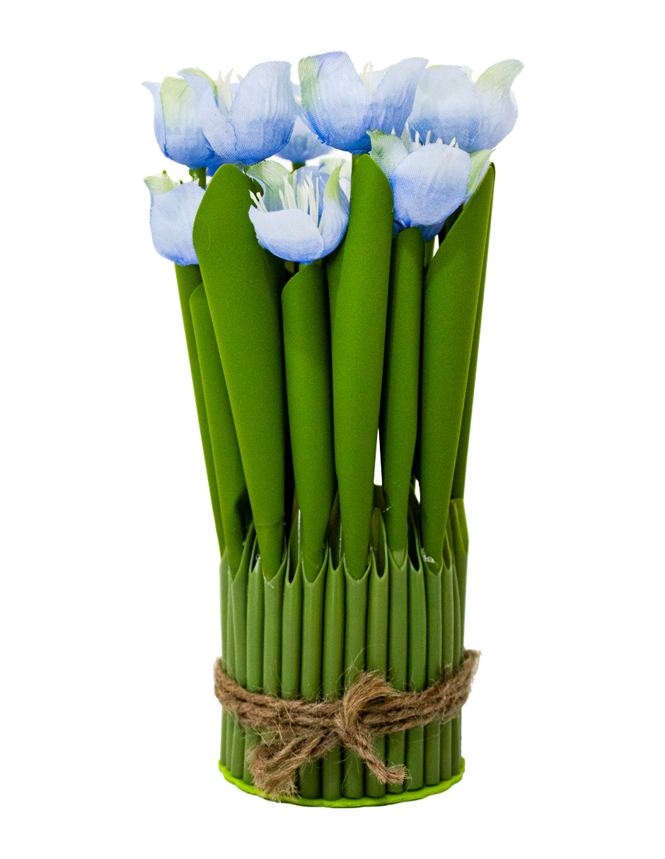 301001736837-galerias el triunfo