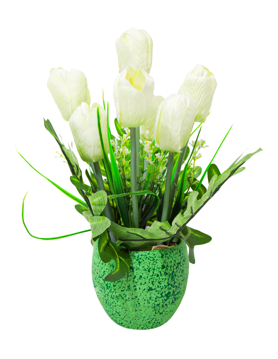 301001736849-galerias el triunfo