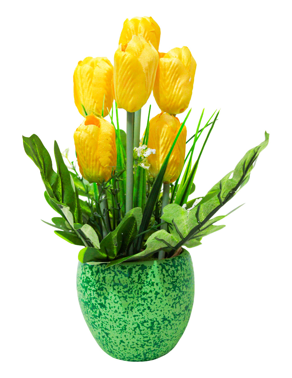 301001736851-galerias el triunfo