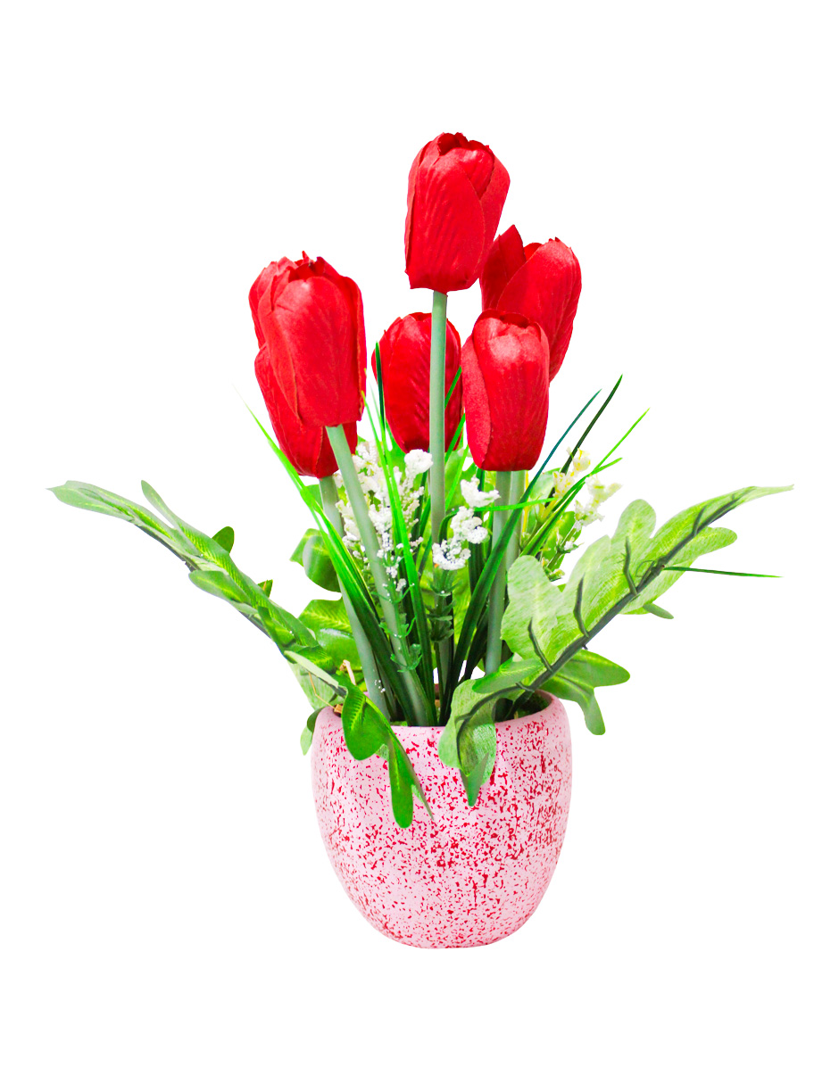 301001736852-galerias el triunfo