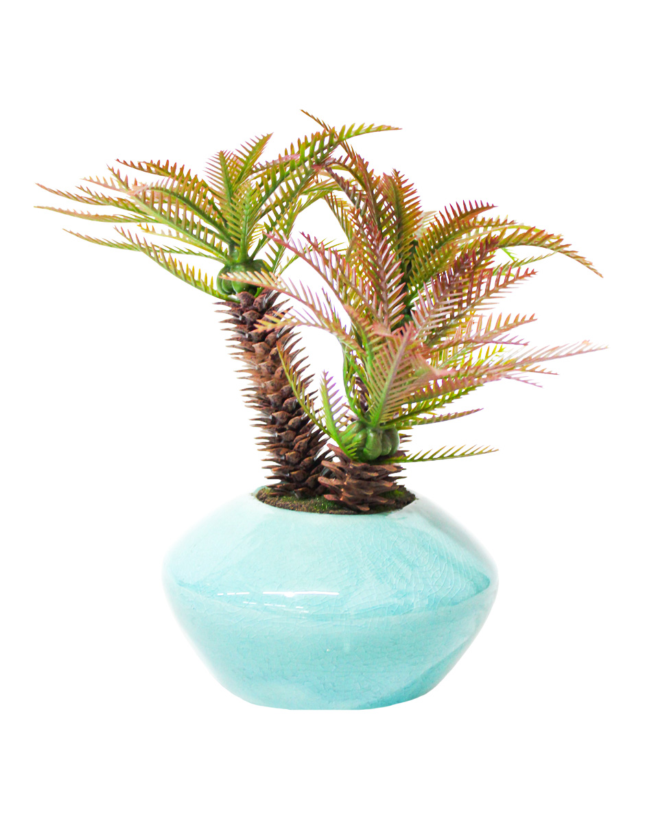 301001736867-galerias el triunfo