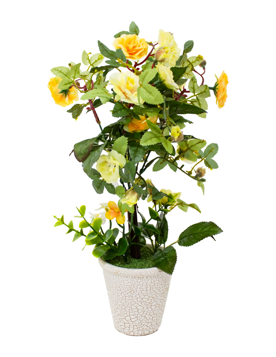 301001736873-galerias el triunfo