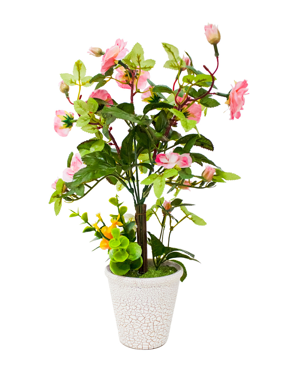 301001736876-galerias el triunfo