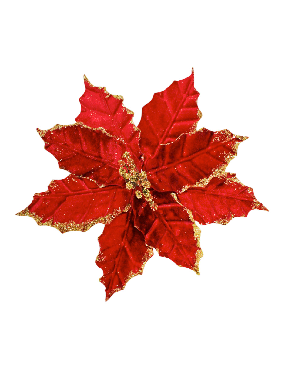 022032857017-galerias el triunfo