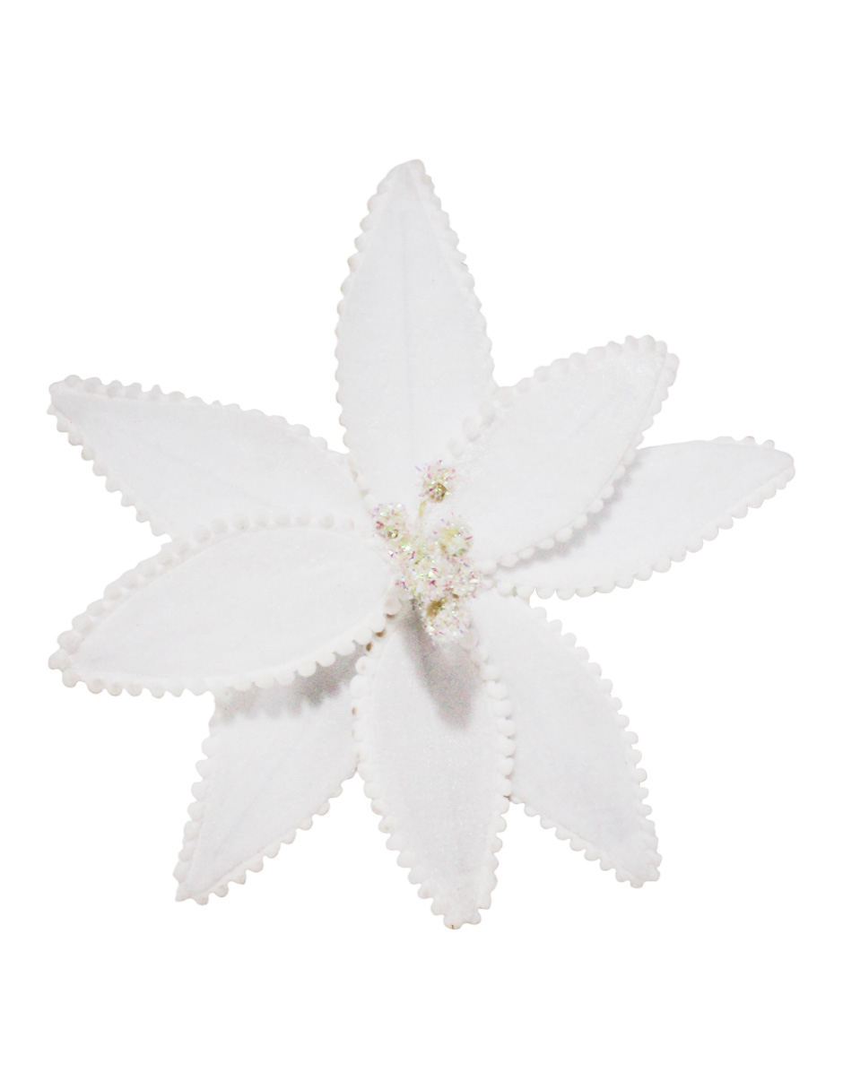 022032857021-galerias el triunfo