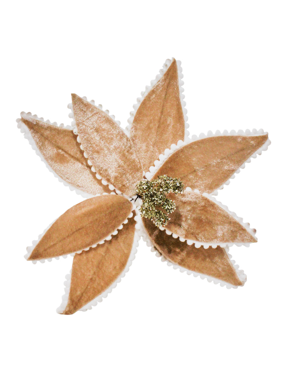 022032857025-galerias el triunfo