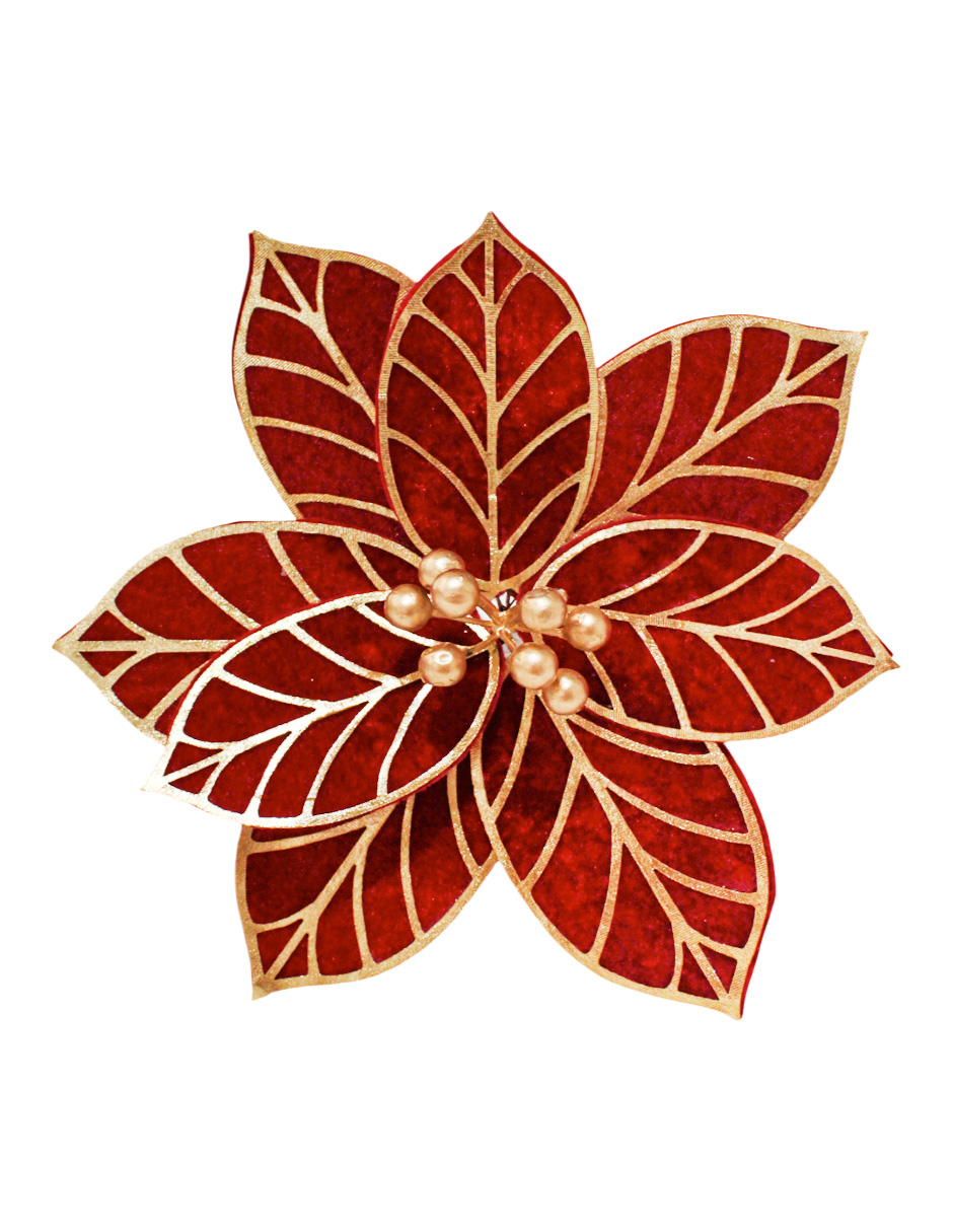 022032857029-galerias el triunfo