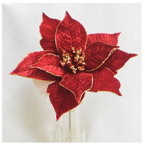 040907904169-galerias el triunfo