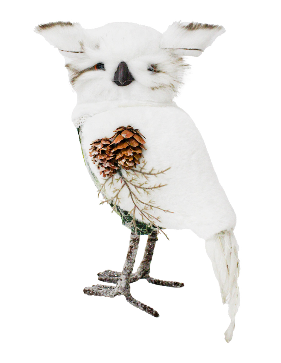 100307378349-galerias el triunfo