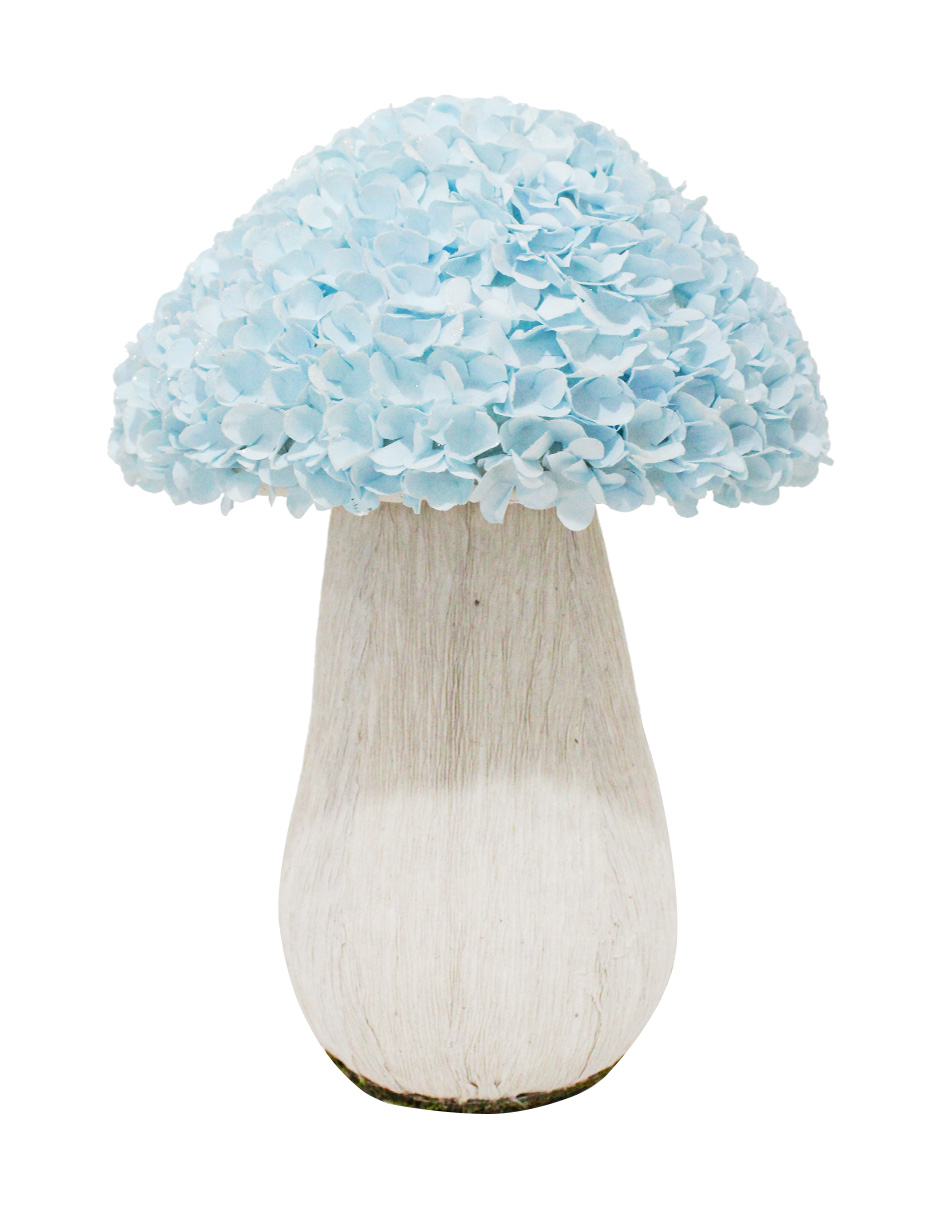 100307378750-galerias el triunfo