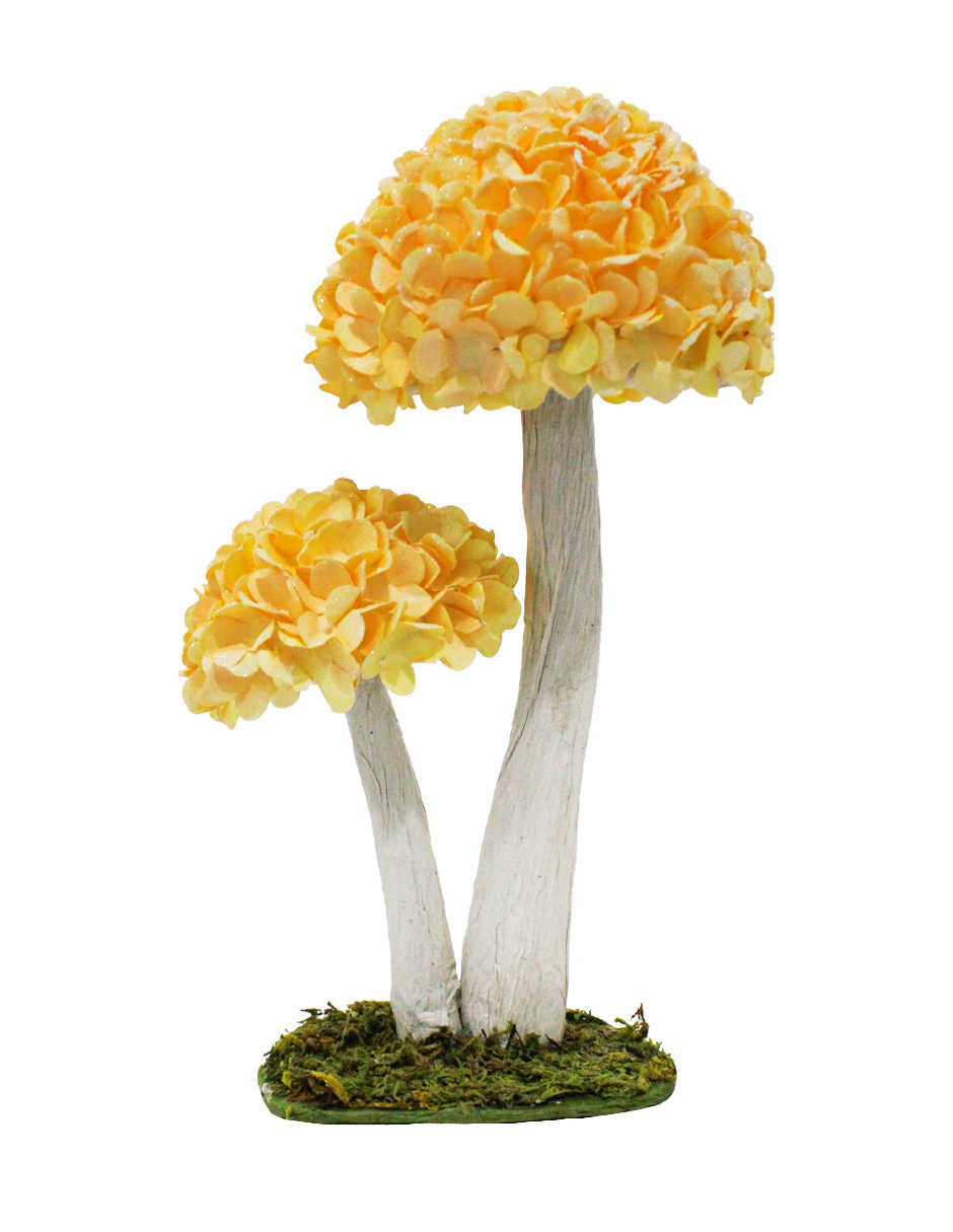 100307378752-galerias el triunfo