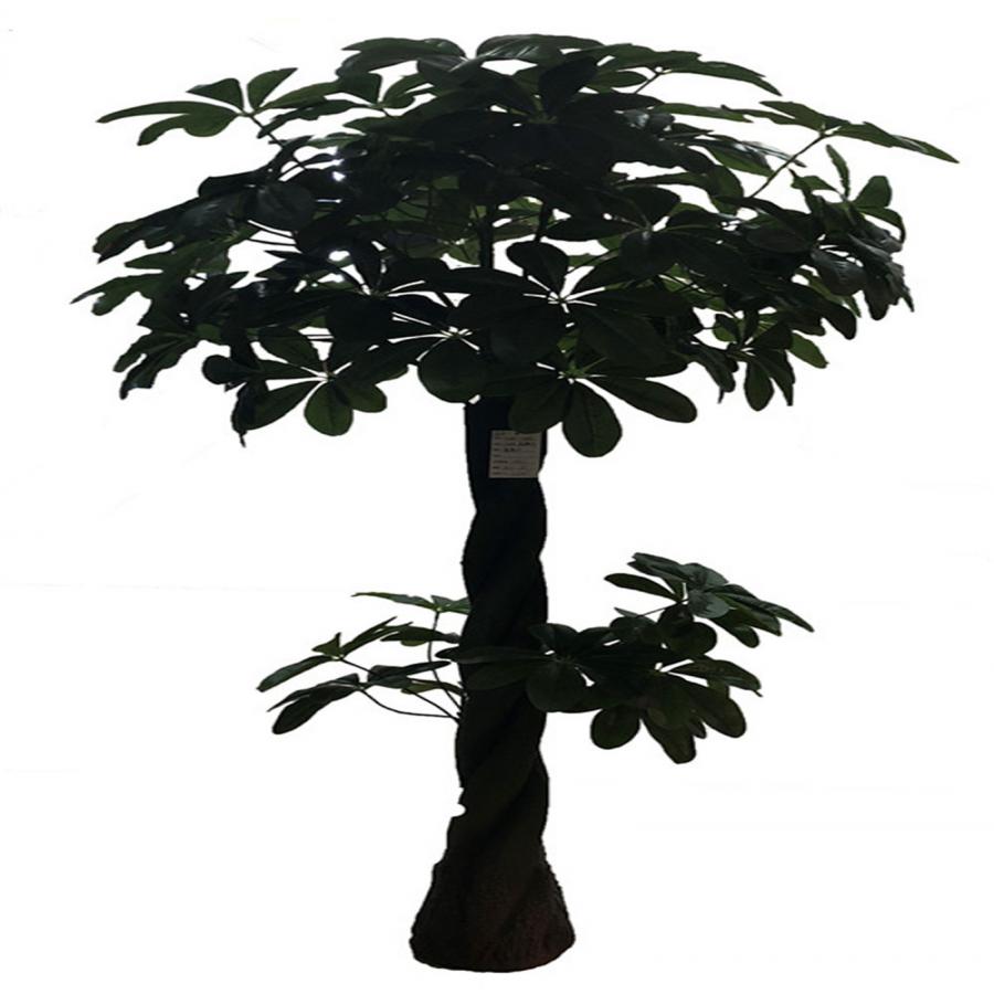 221001736214-galerias el triunfo