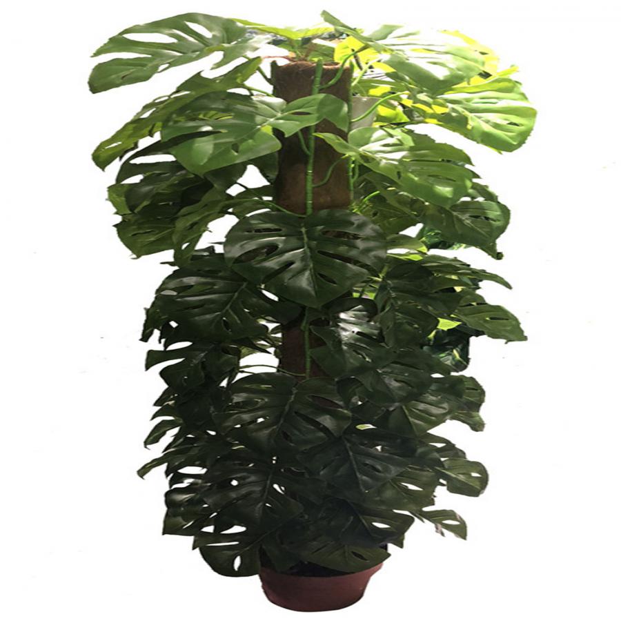 221001736218-galerias el triunfo